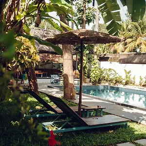 Paddlecult Surf Retreat Varkala