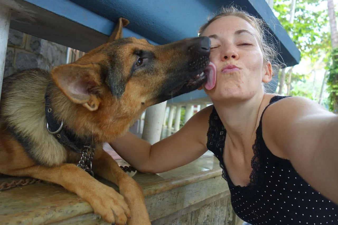 Nature Eco Retreat Bed & Breakfast Varkala India